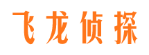 市中市侦探公司